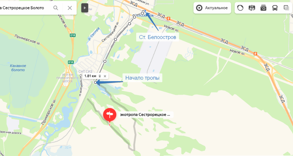 Схема маршрута Сестрорецкого болота.